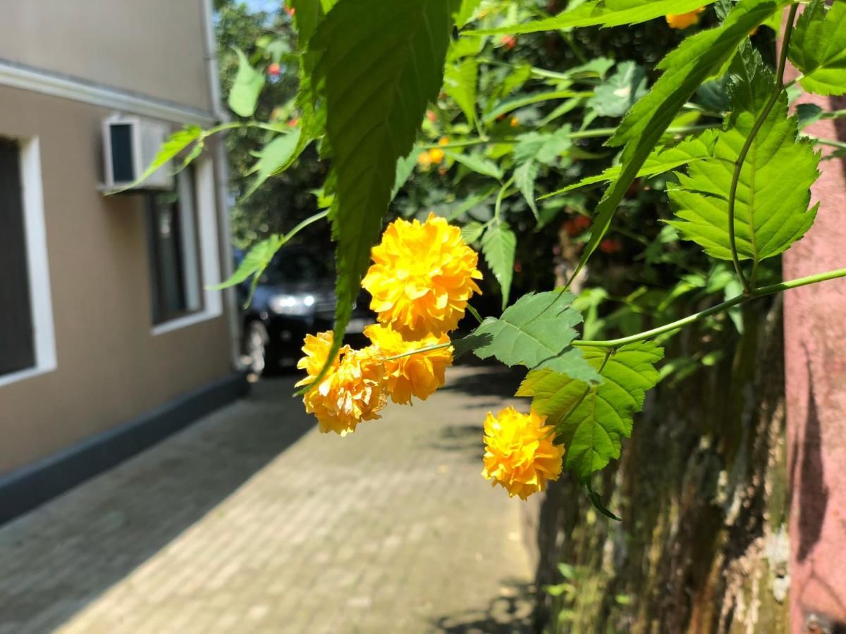 Гостевой дом Villa la familia Махинджаури-34
