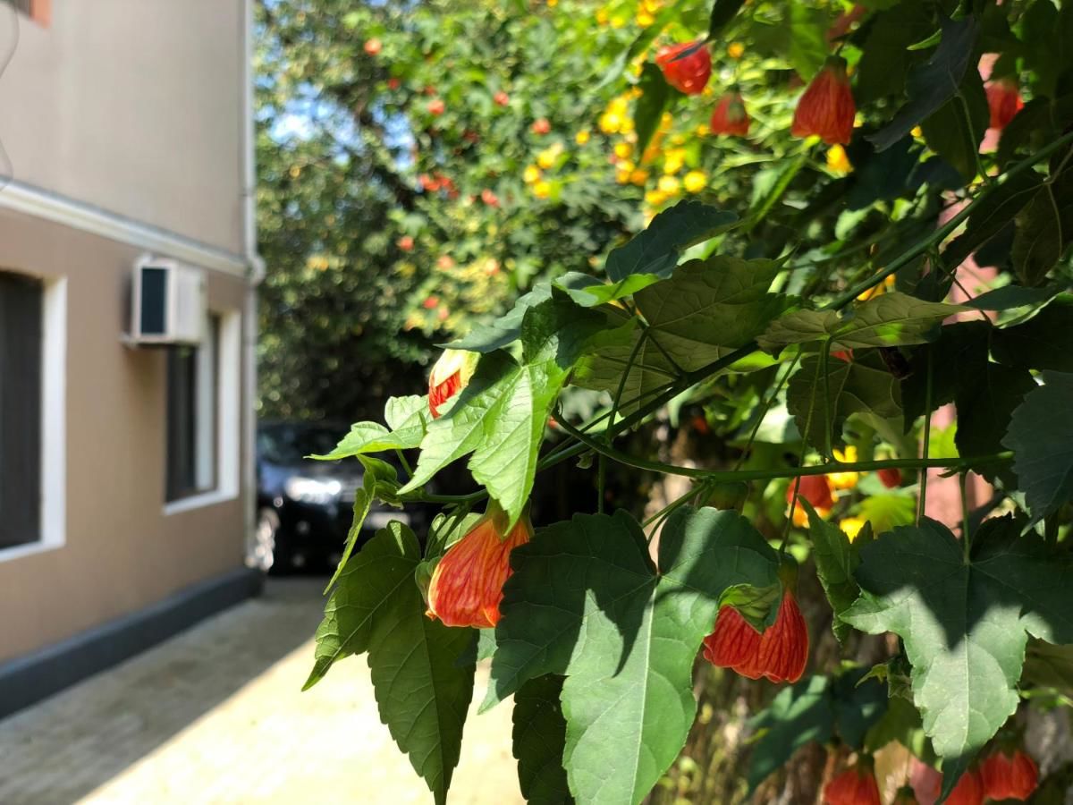 Гостевой дом Villa la familia Махинджаури-35